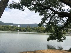 -走马楼饭庄(慈城古县城店)
