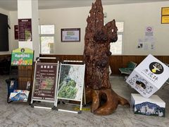 -鹿院坪生态旅游景区