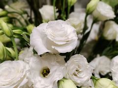 -EPOQUE·一刻花店(兴业太古汇店)