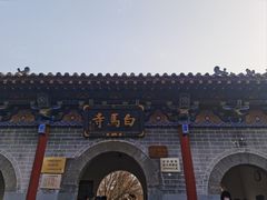 -洛阳白马寺