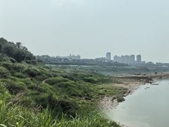-金海湾滨江公园