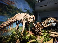 -自贡恐龙博物馆