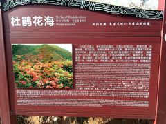 -大围山国家森林公园
