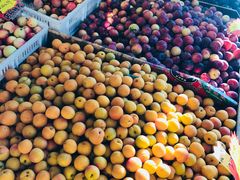 -乐乐鲜果水果超市(河北店)