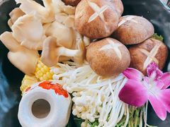 -禧鳳記·猪肚鸡火锅(玖洲道店)