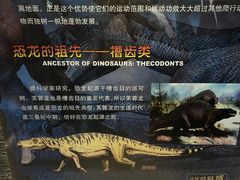 -国家自然博物馆