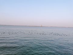 -上海滴水湖皇冠假日酒店