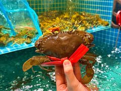 -聚味斋香辣蟹·蓝龙(塘沽总店)