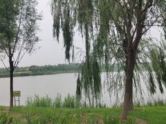 -东郊湿地公园