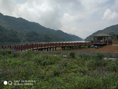 -广州市石门国家森林公园