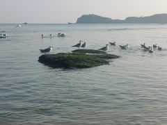 -燕窝岭