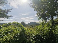 -东部华侨城