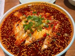 -文记四川鱼馆(小纬北路店)
