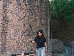 -J Create城市露营咖啡·简餐·宠物(上海动物园店)