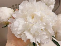-循礼门鲜花花市(武汉循礼门店)