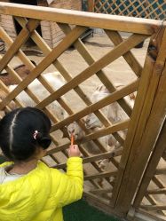 -萌宠亲子动物乐园(槐房万达店)