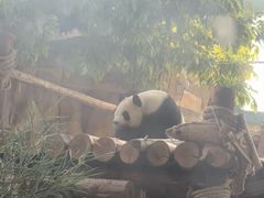 -泉州海丝野生动物世界