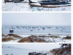-海源公园