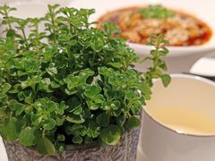 -渝信川菜·川味家常菜(新辰里亚运村店)