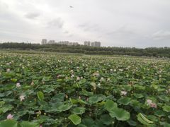 -鞍钢博物馆