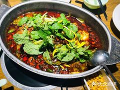 -黔渔翁豆花渎鱼(喷水池店)