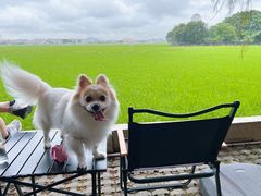 -崖口煲仔饭