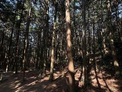 -大罗山风景区