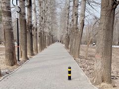 -廊坊市自然公园
