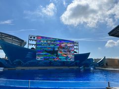 -上海海昌海洋公园
