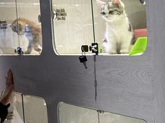 -乐宠宠物店(世纪金源店)