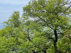 -终南山南五台景区