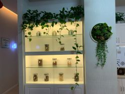 -诗媛嘉美健康管理中心(金桥店)