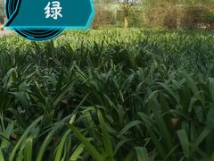 -保利石象湖景区