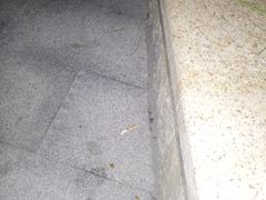 烟头-上海欢乐谷