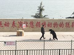 -东方熊牧场