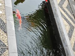 -西安市广仁寺
