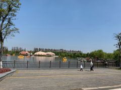 -上海长兴岛郊野公园