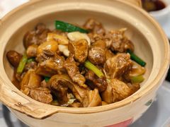 开煲羊腩煲-勝記酒家·37年老字号·经典粤菜(荔枝公园店)