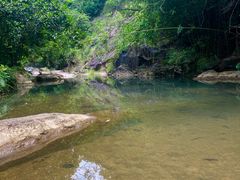 -广州白江湖森林公园