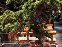 -丹江渔村(首都机场店)