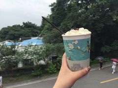 -茶颜悦色(岳麓山顶店)