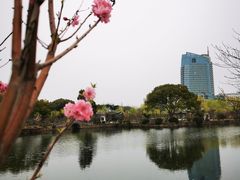 -无锡蠡湖国家湿地公园-蠡园