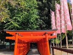 -水前寺成趣园