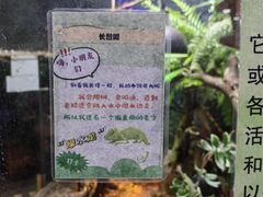 -上海大自然野生昆虫馆(东方明珠·爬宠昆虫探索中心)