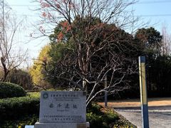 -上海崧泽遗址博物馆
