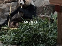 -广州长隆野生动物世界