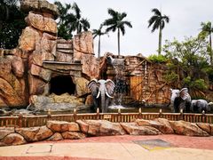 -美的鹭湖探索王国