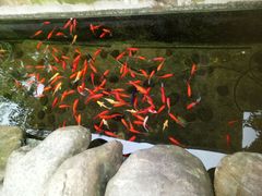 -海兰云天度假区温泉