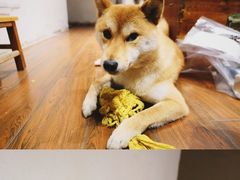 -About Bistro關於·泰式家庭料理