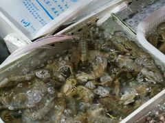 -十四涌水产中心